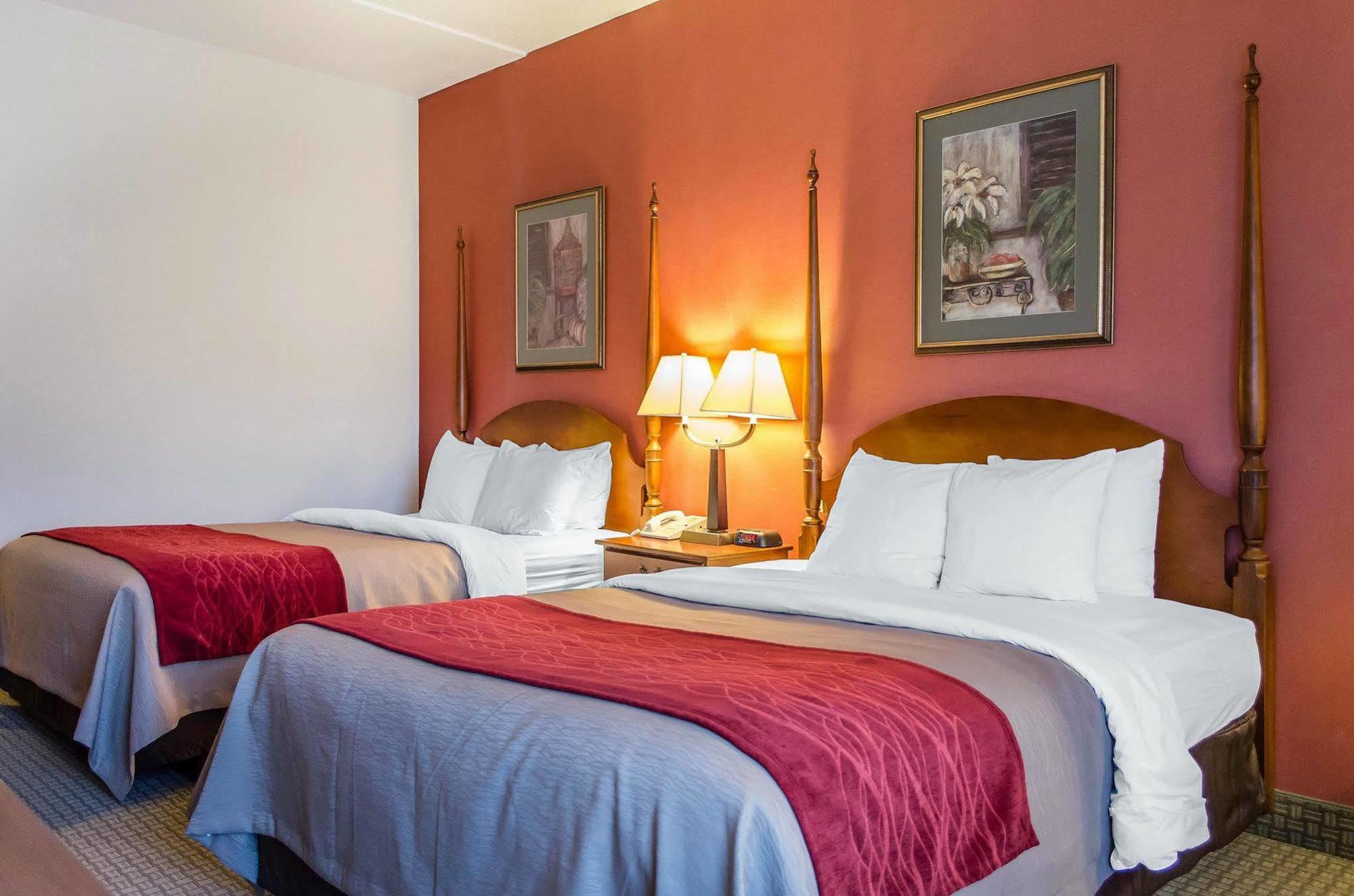 Comfort Inn & Suites York Buitenkant foto
